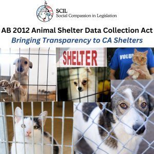 AB-2012-SHELTER-DATA-1-300x300