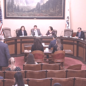 AB 273 hearing