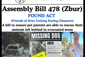AB 478