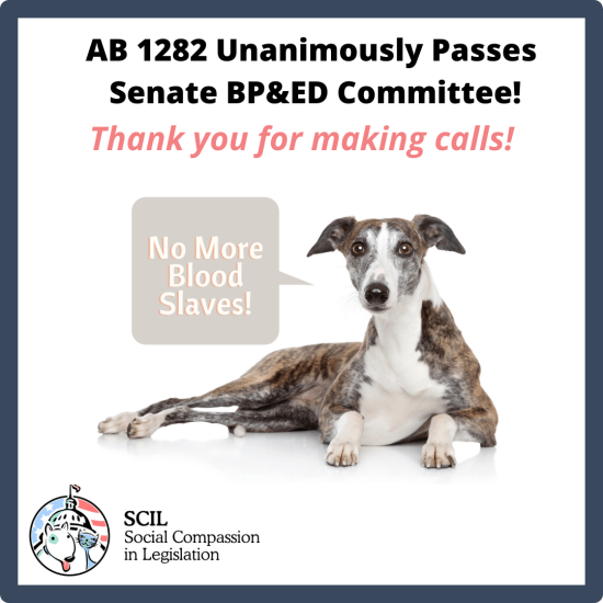 AB 1282