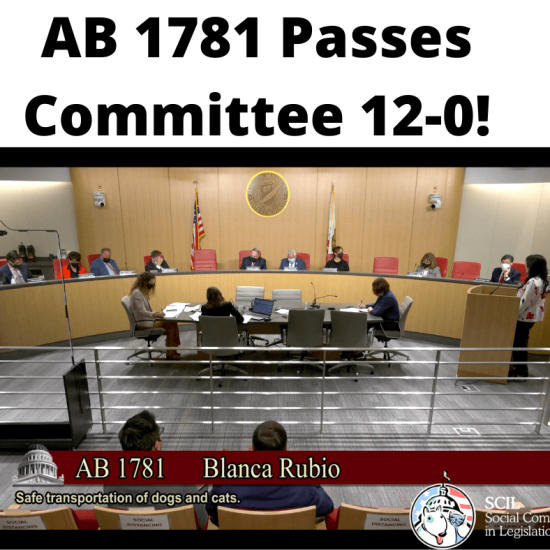 AB1781