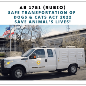 AB1781