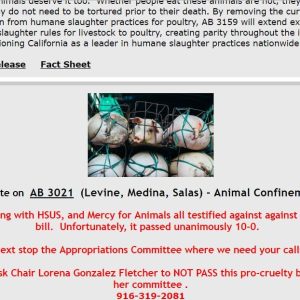 Action Alerts and Updates