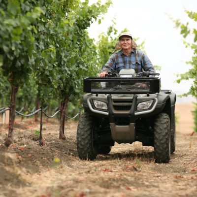 Farmer in vineyard