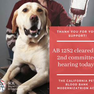 AB 1282