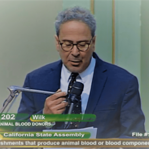 Bloom presenting sb 202 _2_