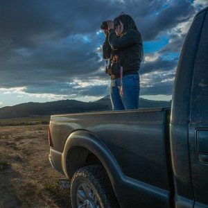 California-kills-4-wolves-social-compassion-in-legislation