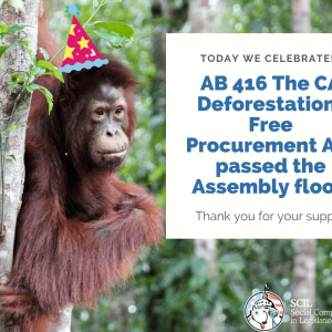 Deforestation Act Passes