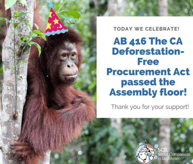 Deforestation Act Passes