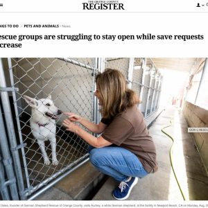 Image 8-29-25 at 3.52_PM