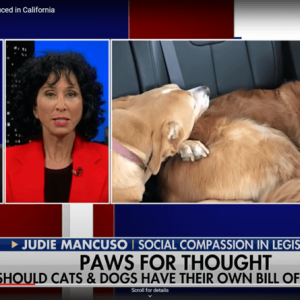 Judie Mancuso at Tucker Carlson