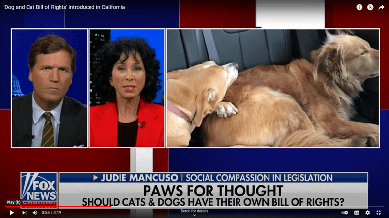 Judie Mancuso at Tucker Carlson
