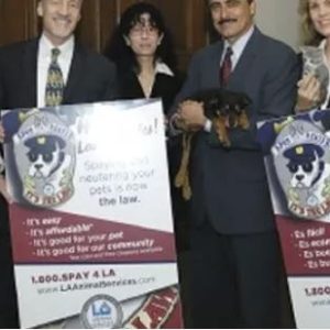 LA Spay and Neuter