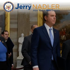 Nadler-Introduces-Resolution-Opposing-Elective-Cat-Declawing-social-compassion-in-legislation