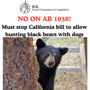 No on AB 1038