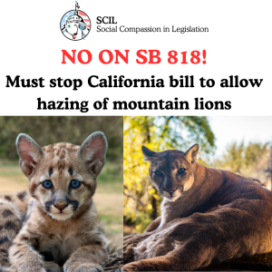 No on SB 818