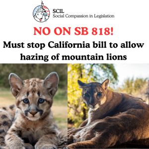 No on SB 818
