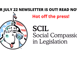 SCIL Updates
