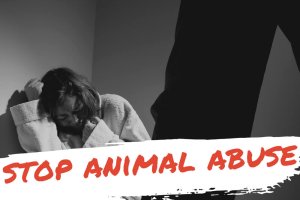 Red-Black-White-Domestic-Abuse-Poster-1000