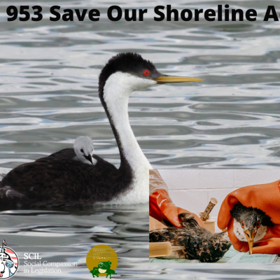 AB 953 the Save Our Coastline Act