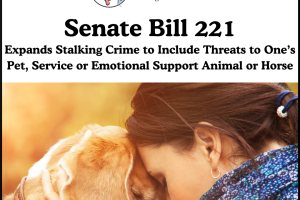 SB221