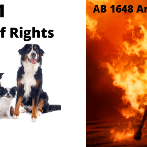 AB1881