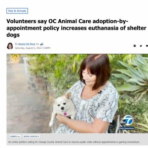 SCIL Statement On OC And LA Shelter Problems