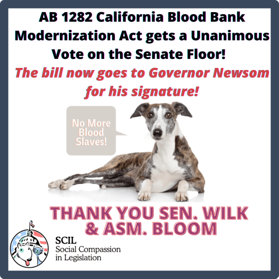 AB 1282 California Blood Bank