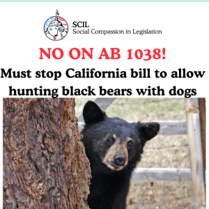 Screen Shot 2025-04-09 at 10.37.56 AM