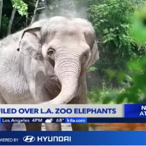 Screen Shot 2025-05-16 at 10.30.13 AM