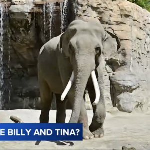 Screenshot 2025-05-21 at 8.09.37 AM