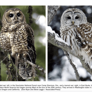 Screenshot 2025-08-12 at 11.15.01 AM