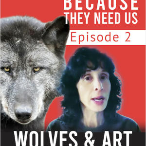 Because They Need Us, Episode Two Immediate Threats to Wolves in California and USA