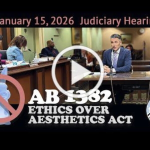 AB 1382 Passes Assembly Judiciary Committee