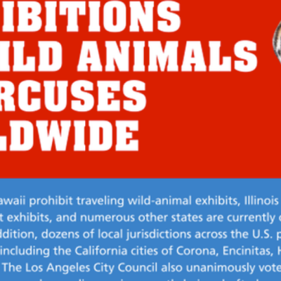 Coalition to Announce State Senate Bill 313 to End Circus Cruelty in California