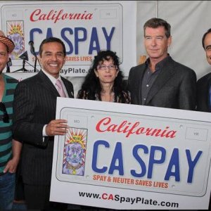 Spay_Neuter_Plate_057