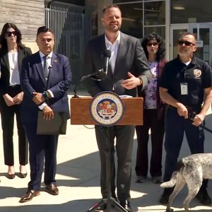 <a href="https://thevoicesf.org/haney-bill-aims-to-expedite-adoption-of-animals-rescued-from-abuse/">Haney bill aims to expedite adoption of animals rescued from abuse</a>