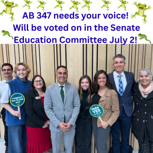 Your paragraph text _2_