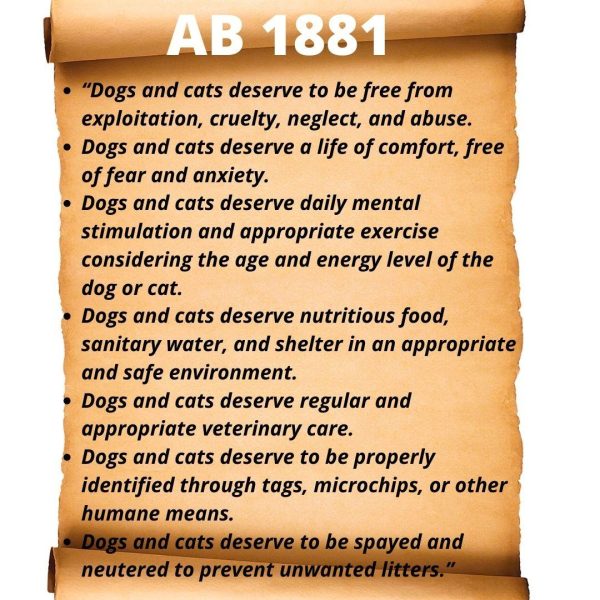 ab 1811 call to action scroll