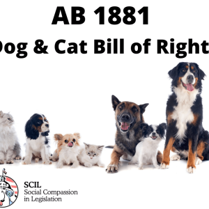 ab 1881 image