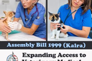 ab-1999-kalra-social-compassion-in-legislation