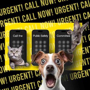 ab-2344-haney-square