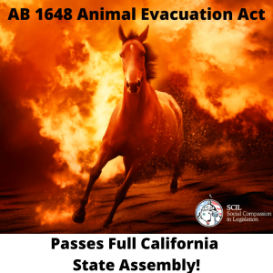 AB 1648