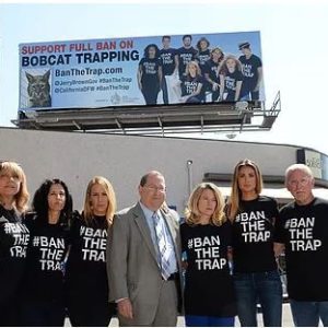 ban the trap billboard