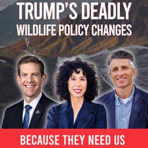 because-they-need-us-podcast-mike-levin-judie-mancuso-social-compassion-in-legislation