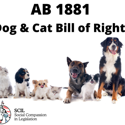 AB 1881