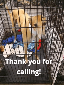 bill-update