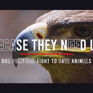 DEADLINES AHEAD FOR GRANT MONEY & WEBINAR TODAY!