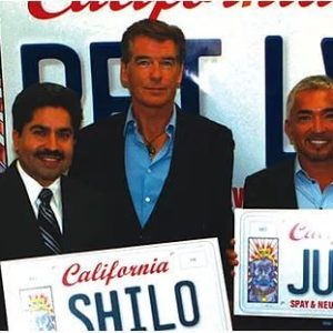 Cali Pet Lovers' License Plate