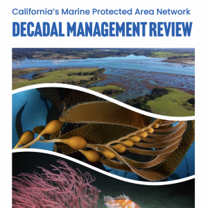 decadal-management-review